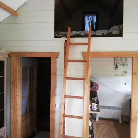 Saviaugu Majake Polvamaal