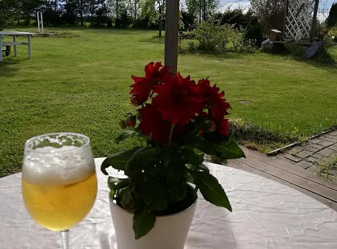 Saviaugu Majake Polvamaal *